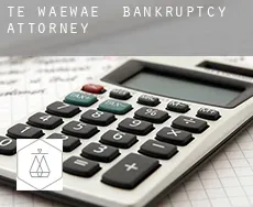 Te Waewae bankruptcy attorney