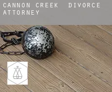 Cannon Creek divorce attorney
