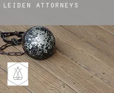 Leiden  attorneys