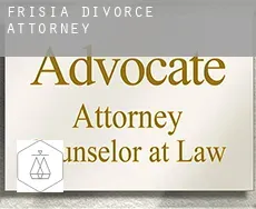 Friesland  divorce attorney