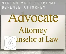 Miriam Vale  criminal defense attorney