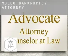 Molló bankruptcy attorney