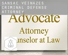Sansac-Veinazés  criminal defense attorney