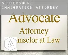 Schiebsdorf  immigration attorney