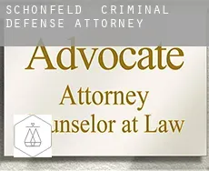 Schönfeld  criminal defense attorney