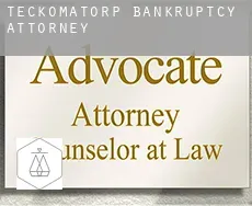 Teckomatorp  bankruptcy attorney