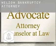 Welzow  bankruptcy attorney