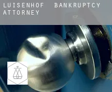 Luisenhof  bankruptcy attorney