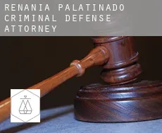 Rhineland-Palatinate  criminal defense attorney