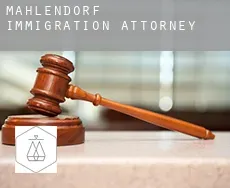 Mahlendorf  immigration attorney