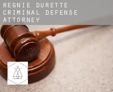 Régnié-Durette  criminal defense attorney