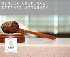 Nijmegen  criminal defense attorney