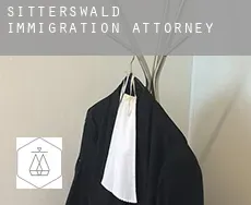 Sitterswald  immigration attorney