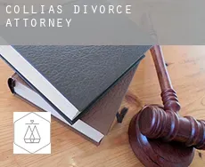 Collias divorce attorney