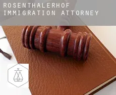 Rosenthalerhof  immigration attorney