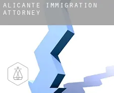 Alicante  immigration attorney