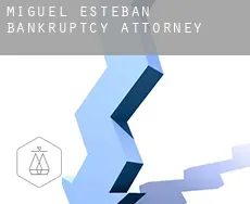 Miguel Esteban  bankruptcy attorney