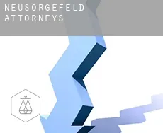 Neusorgefeld  attorneys