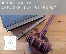 Blodelsheim immigration attorney