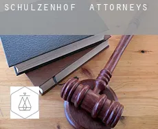 Schulzenhof  attorneys