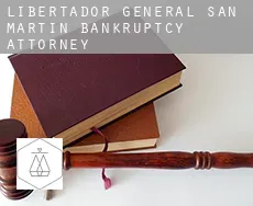 Libertador General San Martín  bankruptcy attorney