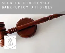 Seebeck-Strubensee  bankruptcy attorney