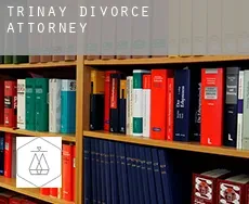 Trinay divorce attorney