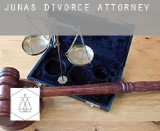 Junas divorce attorney