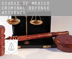 Mexico City  criminal defense attorney