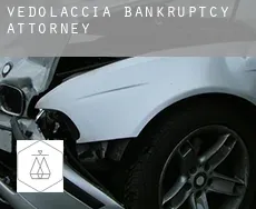 Vedolaccia bankruptcy attorney