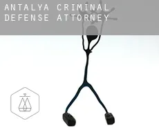 Antalya  criminal defense attorney