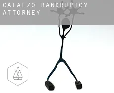 Calalzo di Cadore bankruptcy attorney