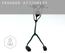 Frogner  attorneys