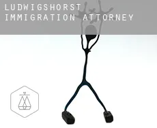 Ludwigshorst  immigration attorney