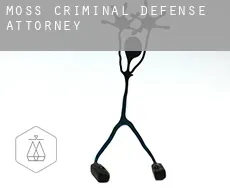 Moss  criminal defense attorney