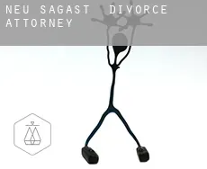 Neu Sagast  divorce attorney