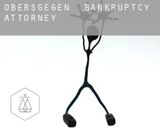 Obersgegen  bankruptcy attorney