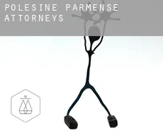 Polesine Parmense attorneys