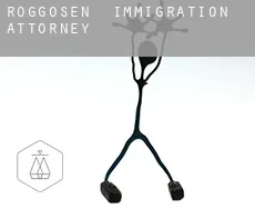 Roggosen  immigration attorney