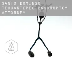 Santo Domingo Tehuantepec  bankruptcy attorney