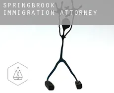 Springbrook immigration attorney