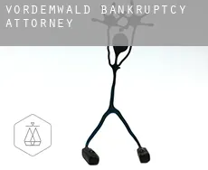 Vordemwald  bankruptcy attorney