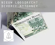 Nieuw-Loosdrecht  divorce attorney