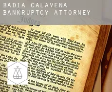 Badia Calavena bankruptcy attorney