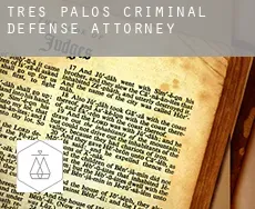 Tres Palos criminal defense attorney
