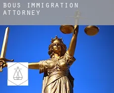 Bous  immigration attorney