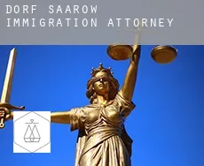 Dorf Saarow  immigration attorney