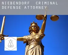 Niebendorf  criminal defense attorney