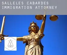 Sallèles-Cabardès immigration attorney