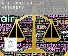 Apt immigration attorney